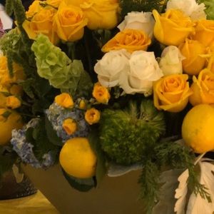 Meet your Posher, Tania